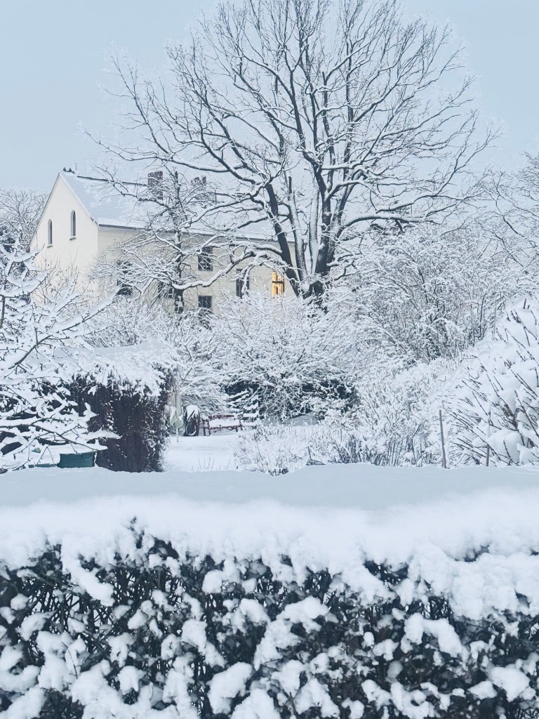 Verschneite ländliche Landschaft mit einem weißen Haus im Hintergrund.