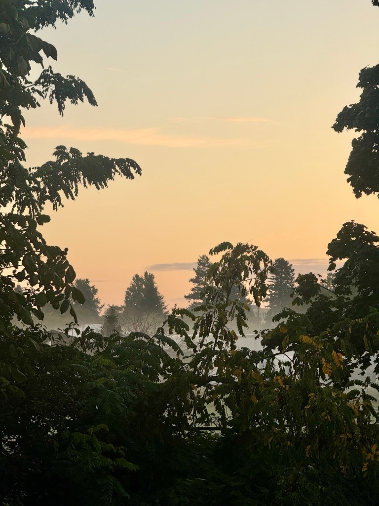 Ein früher Morgen mit dichtem Bodennebel.