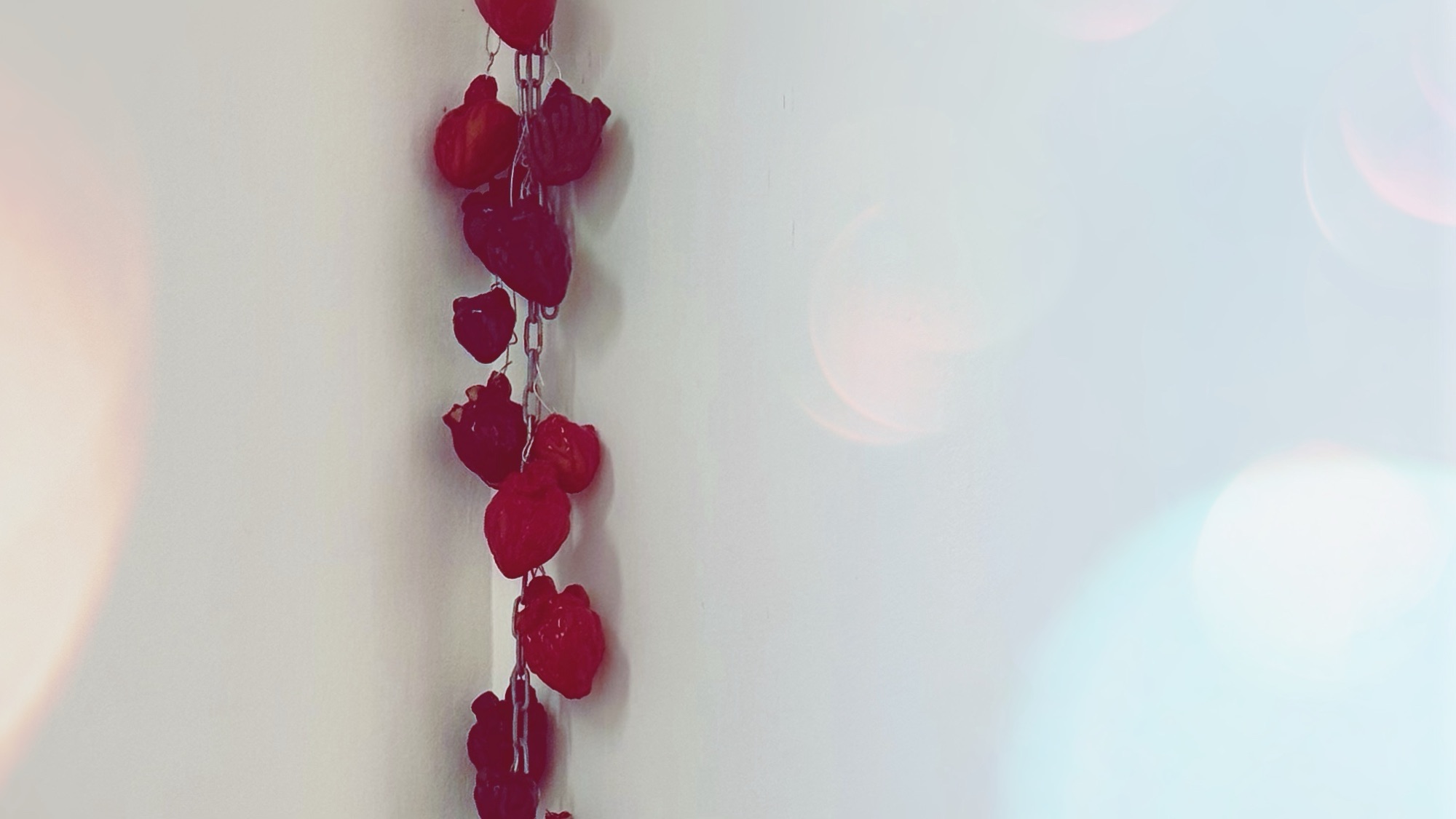 Urban Fantasy ohne Romantik: eine Randerscheinung?